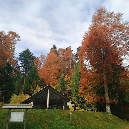 Hotel Am Kurpark Todtmoos Eksteriør billede